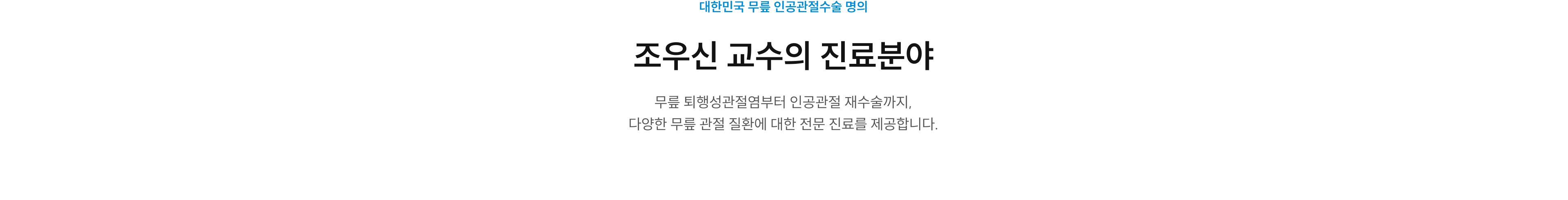 조우신 교수의 진료분야