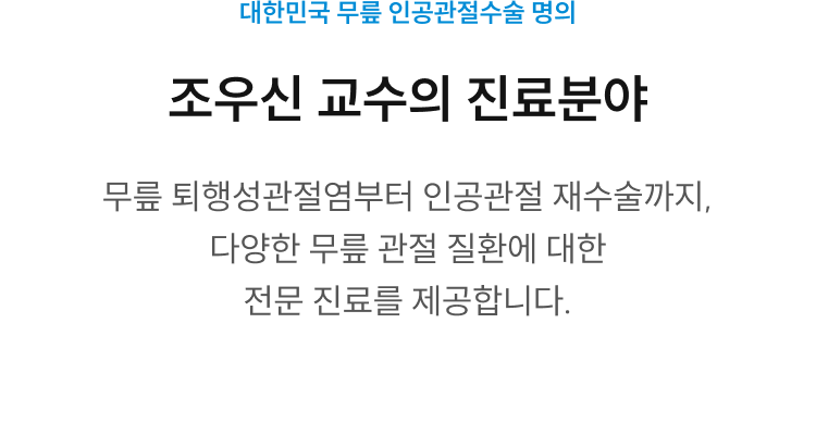 조우신 교수의 진료분야