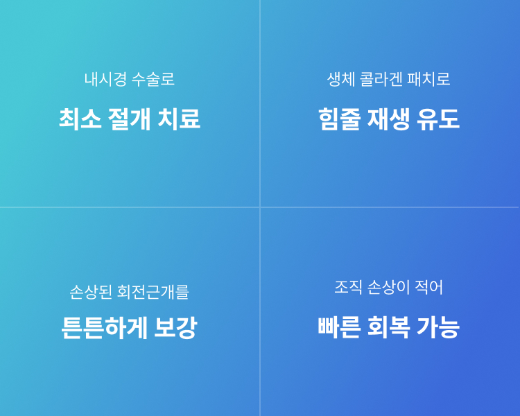 내시경 수술로 최소 절개 치료, 생체 콜라겐 패치로 힘줄 재생 유도, 손상된 회전근개를 튼튼하게 보강, 조직 손상이 적어 빠른 회복 가능